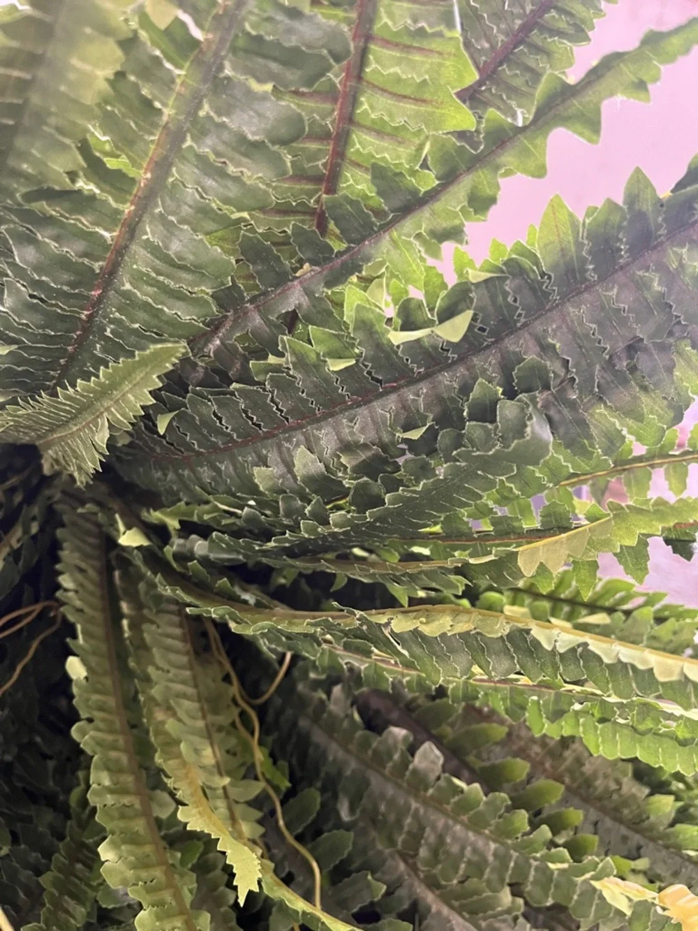 Artificial Boston Fern Plant- NWOT
